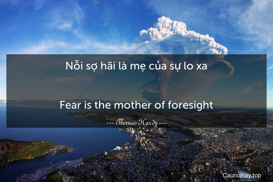 Nỗi sợ hãi là mẹ của sự lo xa.
-
Fear is the mother of foresight.