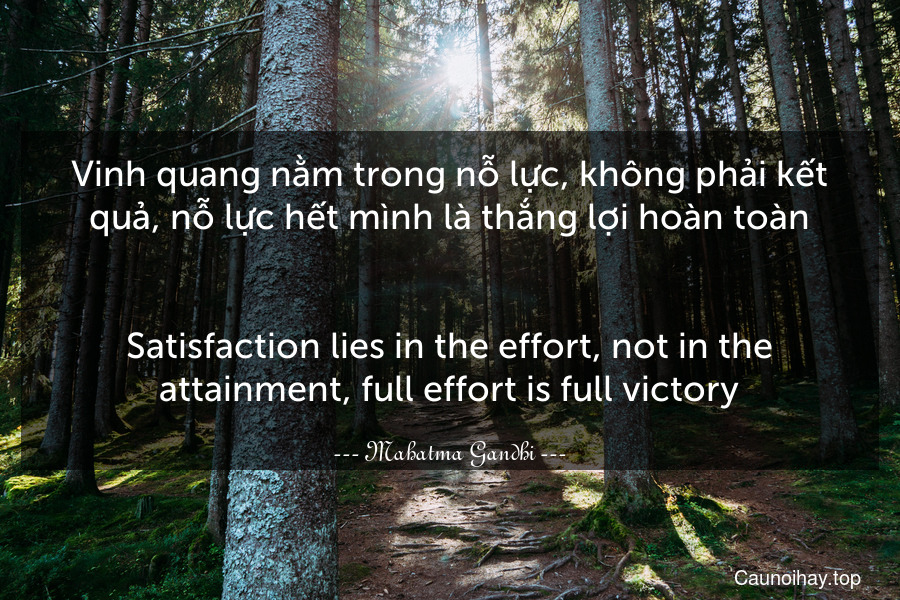 Vinh quang nằm trong nỗ lực, không phải kết quả, nỗ lực hết mình là thắng lợi hoàn toàn.
-
Satisfaction lies in the effort, not in the attainment, full effort is full victory.