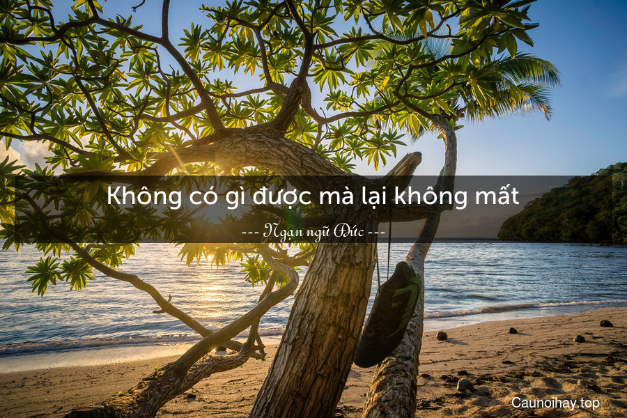 Không có gì được mà lại không mất.