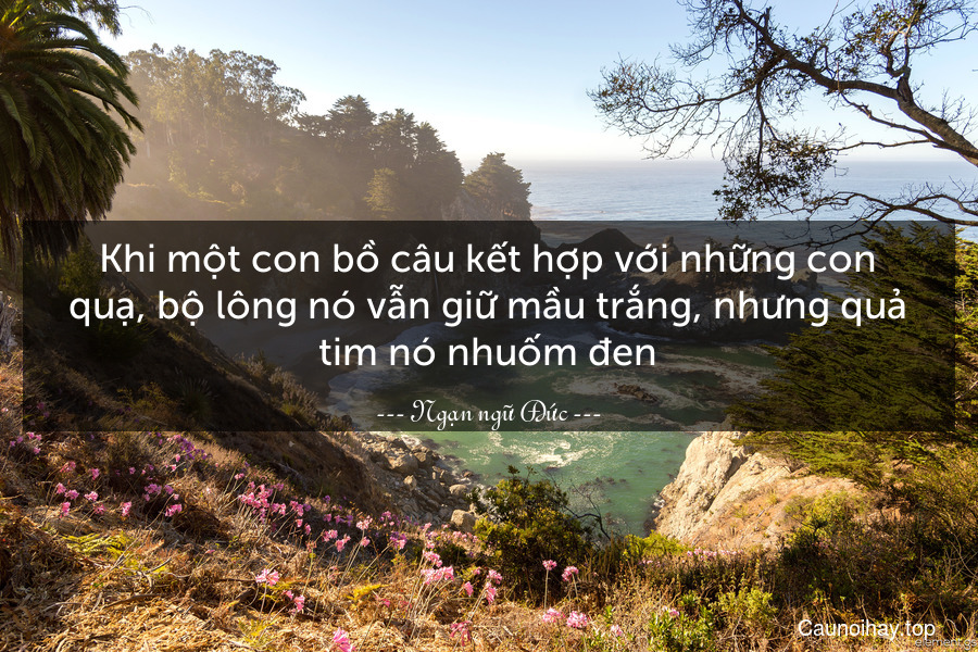 Khi một con bồ câu kết hợp với những con quạ, bộ lông nó vẫn giữ mầu trắng, nhưng quả tim nó nhuốm đen.