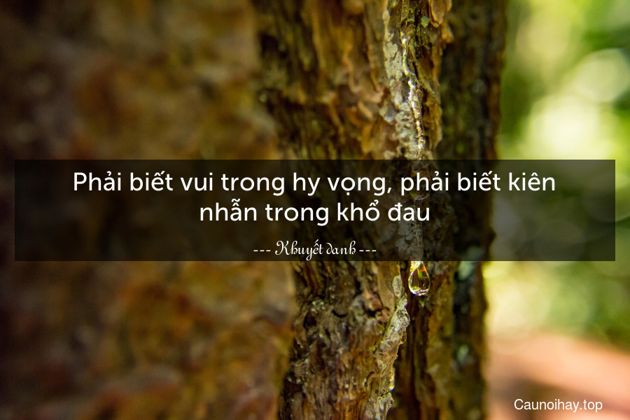 Phải biết vui trong hy vọng, phải biết kiên nhẫn trong khổ đau.