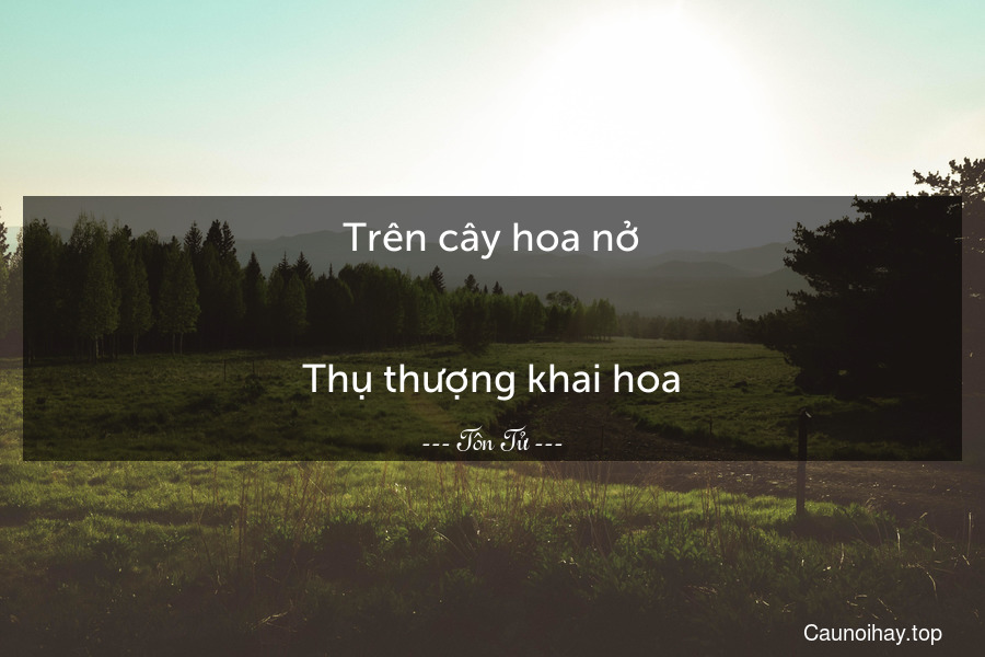 Trên cây hoa nở.
-
Thụ thượng khai hoa.