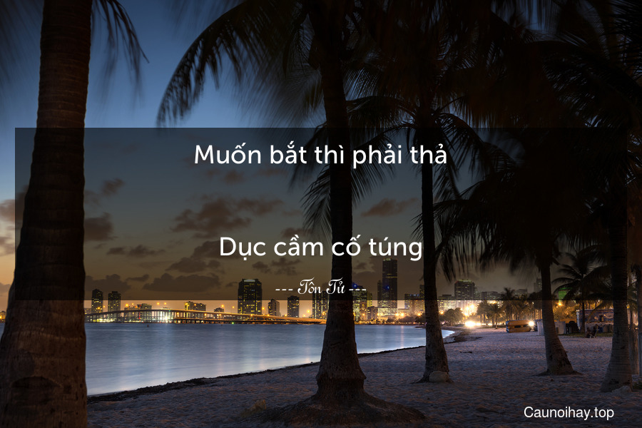 Muốn bắt thì phải thả.
-
Dục cầm cố túng.