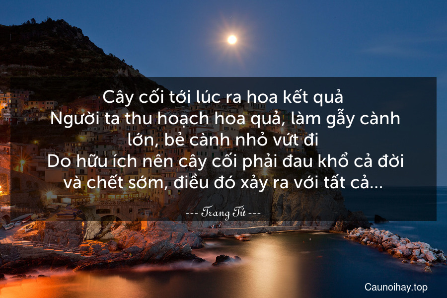 Cây cối tới lúc ra hoa kết quả. Người ta thu hoạch hoa quả, làm gẫy cành lớn, bẻ cành nhỏ vứt đi. Do hữu ích nên cây cối phải đau khổ cả đời và chết sớm, điều đó xảy ra với tất cả…