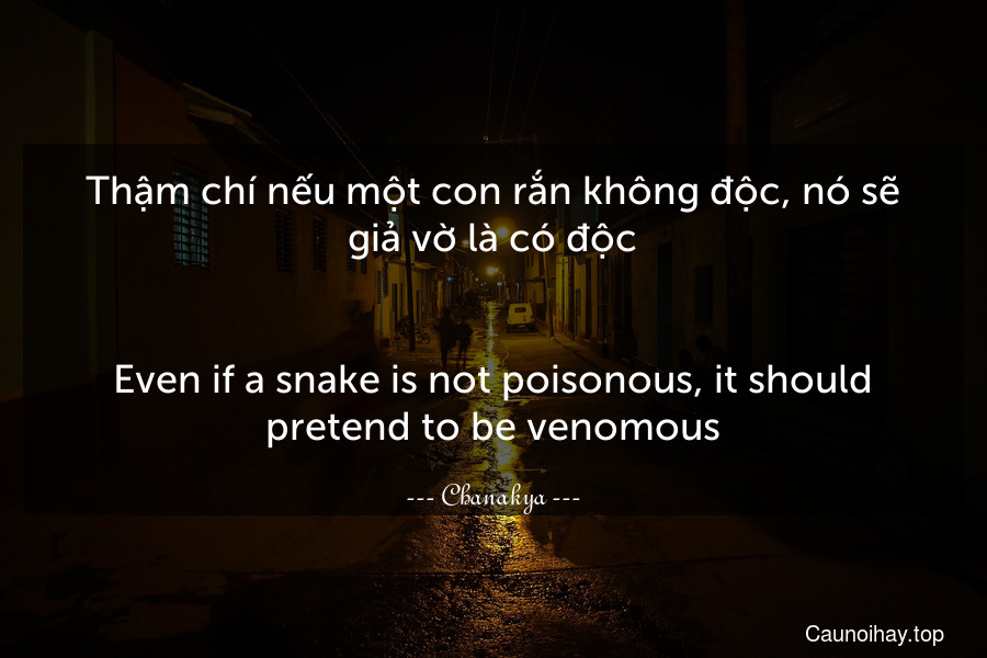 Thậm chí nếu một con rắn không độc, nó sẽ giả vờ là có độc.
-
Even if a snake is not poisonous, it should pretend to be venomous.