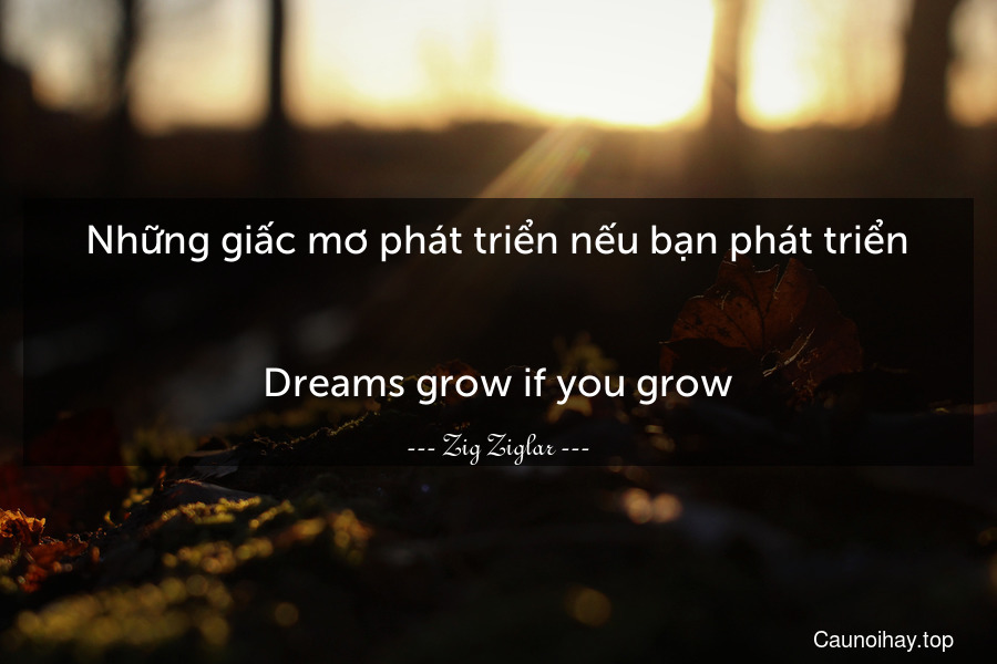 Những giấc mơ phát triển nếu bạn phát triển.
-
Dreams grow if you grow.