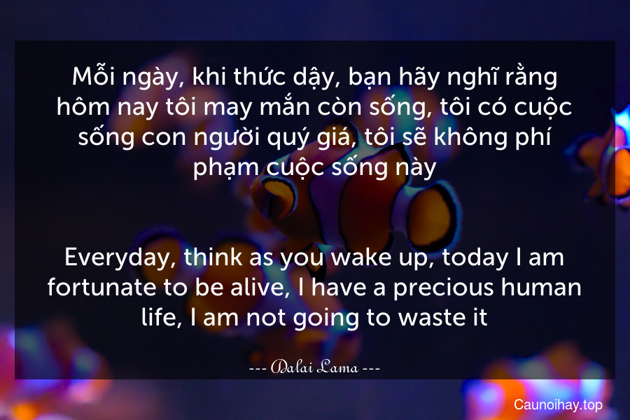 Mỗi ngày, khi thức dậy, bạn hãy nghĩ rằng hôm nay tôi may mắn còn sống, tôi có cuộc sống con người quý giá, tôi sẽ không phí phạm cuộc sống này.
-
Everyday, think as you wake up, today I am fortunate to be alive, I have a precious human life, I am not going to waste it.