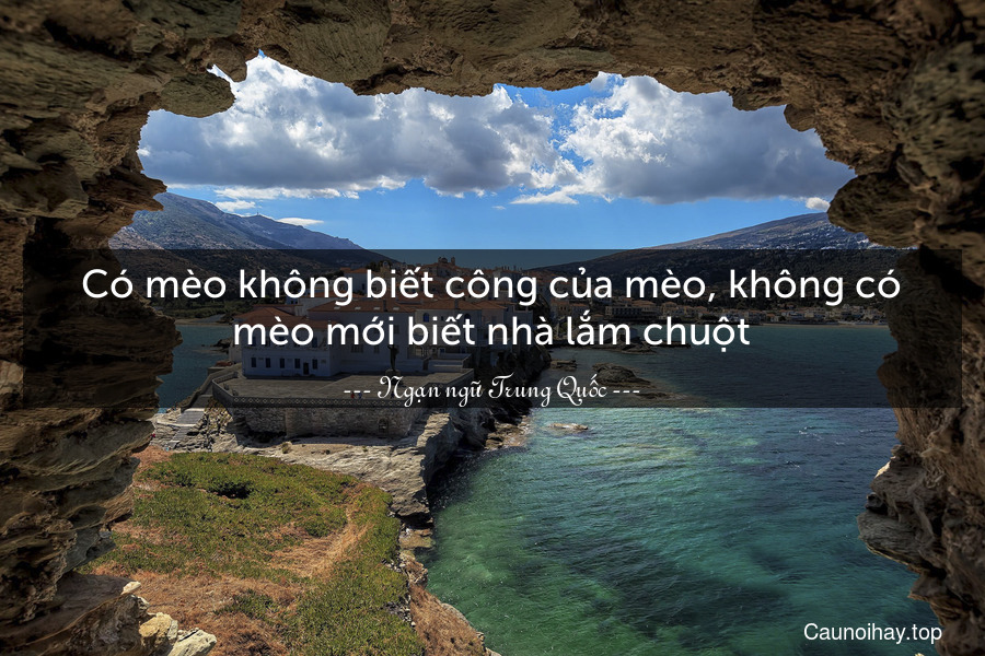 Có mèo không biết công của mèo, không có mèo mới biết nhà lắm chuột.