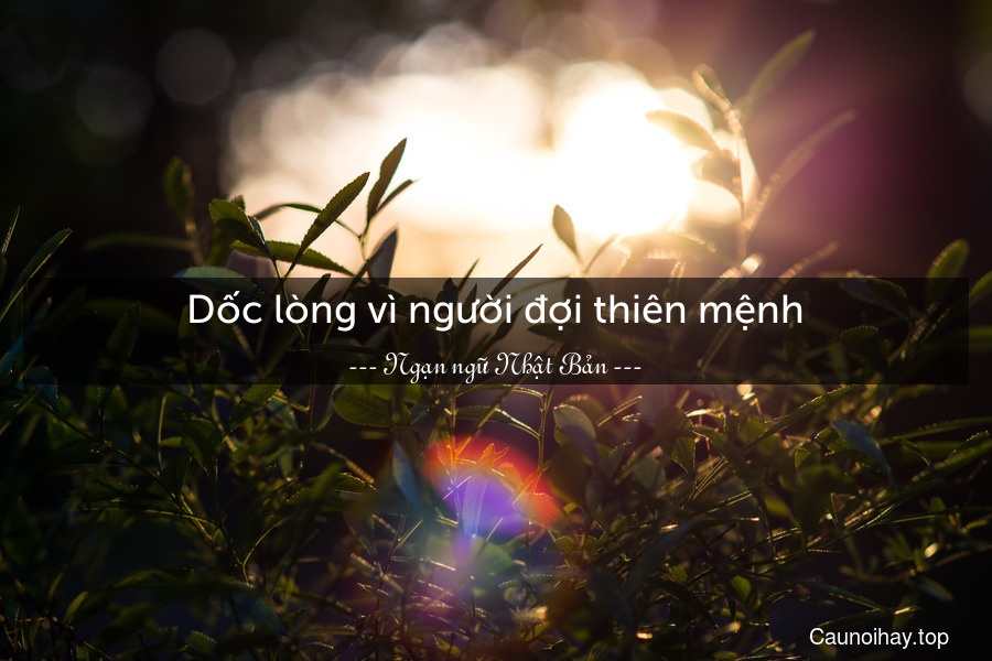 Dốc lòng vì người đợi thiên mệnh.