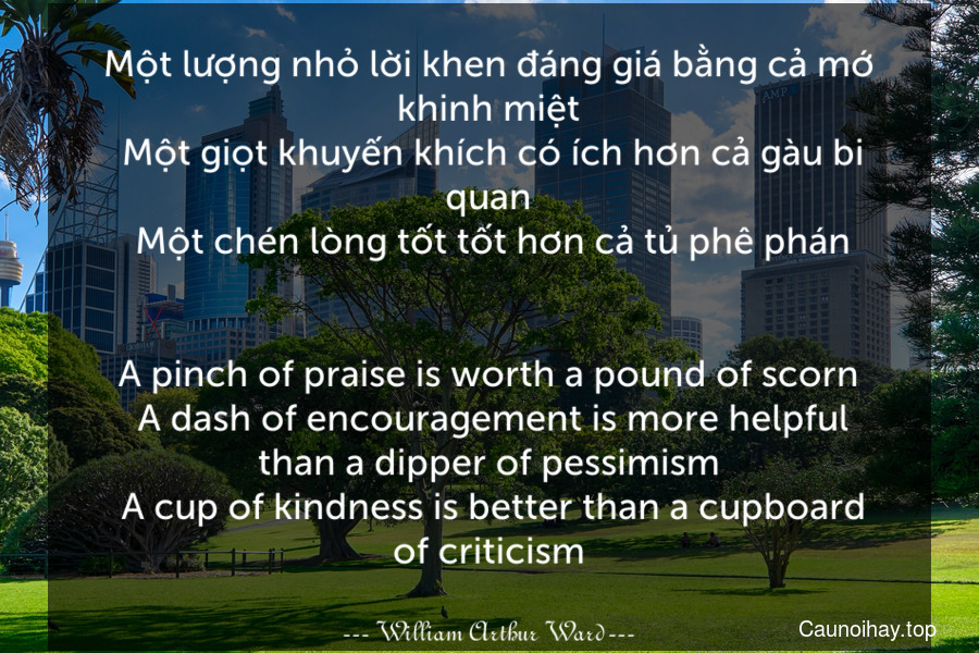 Một lượng nhỏ lời khen đáng giá bằng cả mớ khinh miệt. Một giọt khuyến khích có ích hơn cả gàu bi quan. Một chén lòng tốt tốt hơn cả tủ phê phán.
-
A pinch of praise is worth a pound of scorn. A dash of encouragement is more helpful than a dipper of pessimism. A cup of kindness is better than a cupboard of criticism.