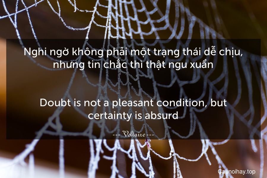 Nghi ngờ không phải một trạng thái dễ chịu, nhưng tin chắc thì thật ngu xuẩn.
-
Doubt is not a pleasant condition, but certainty is absurd.