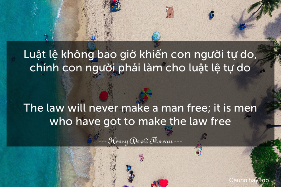 Luật lệ không bao giờ khiến con người tự do, chính con người phải làm cho luật lệ tự do.
-
The law will never make a man free; it is men who have got to make the law free.