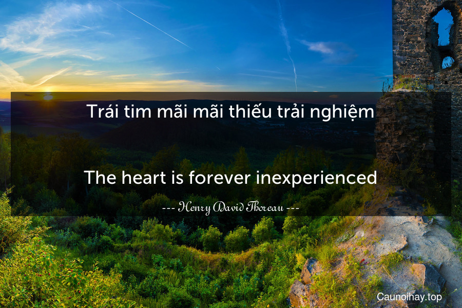 Trái tim mãi mãi thiếu trải nghiệm.
-
The heart is forever inexperienced.