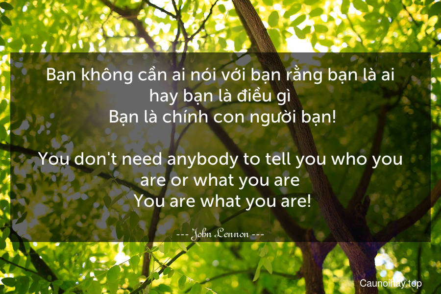 Bạn không cần ai nói với bạn rằng bạn là ai hay bạn là điều gì. Bạn là chính con người bạn!
-
You don't need anybody to tell you who you are or what you are. You are what you are!