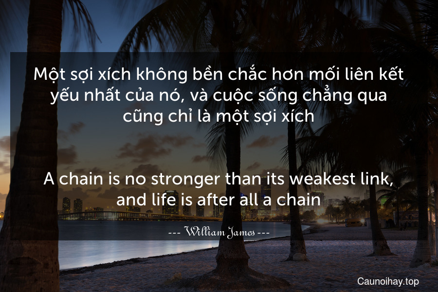 Một sợi xích không bền chắc hơn mối liên kết yếu nhất của nó, và cuộc sống chẳng qua cũng chỉ là một sợi xích.
-
A chain is no stronger than its weakest link, and life is after all a chain.