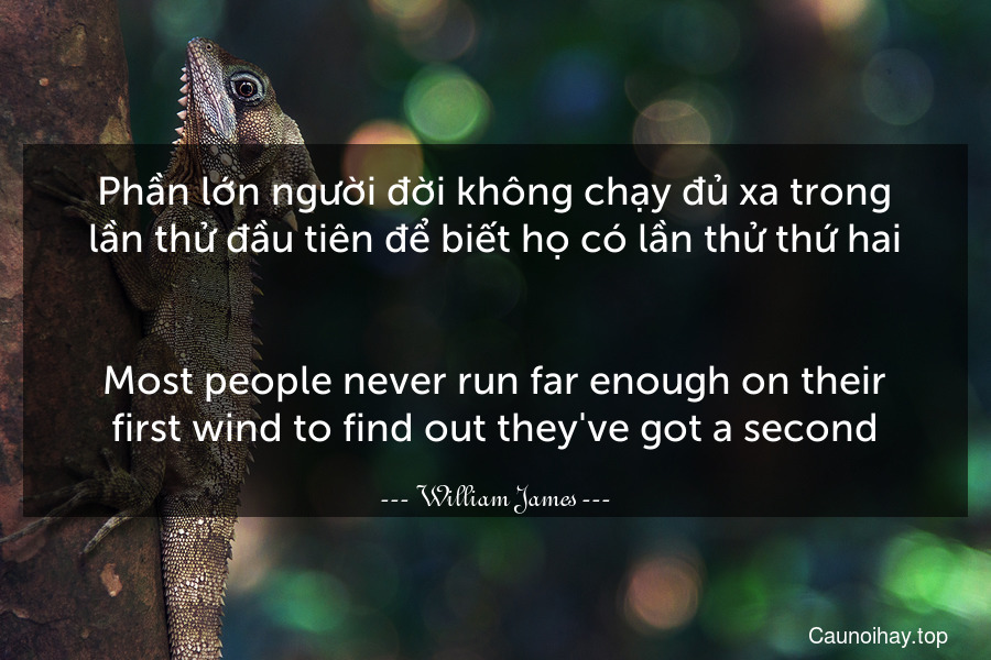 Phần lớn người đời không chạy đủ xa trong lần thử đầu tiên để biết họ có lần thử thứ hai.
-
Most people never run far enough on their first wind to find out they've got a second.