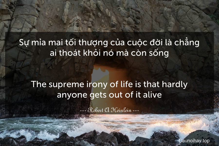 Sự mỉa mai tối thượng của cuộc đời là chẳng ai thoát khỏi nó mà còn sống.
-
The supreme irony of life is that hardly anyone gets out of it alive.