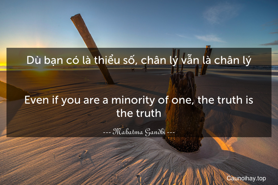 Dù bạn có là thiểu số, chân lý vẫn là chân lý.
-
Even if you are a minority of one, the truth is the truth.