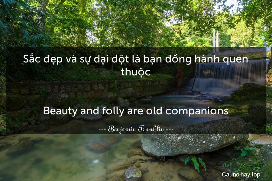 Sắc đẹp và sự dại dột là bạn đồng hành quen thuộc.
-
Beauty and folly are old companions.