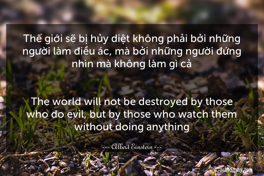 Thế giới sẽ bị hủy diệt không phải bởi những người làm điều ác, mà bởi những người đứng nhìn mà không làm gì cả.
-
The world will not be destroyed by those who do evil, but by those who watch them without doing anything.