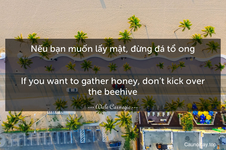 Nếu bạn muốn lấy mật, đừng đá tổ ong.
-
If you want to gather honey, don't kick over the beehive.