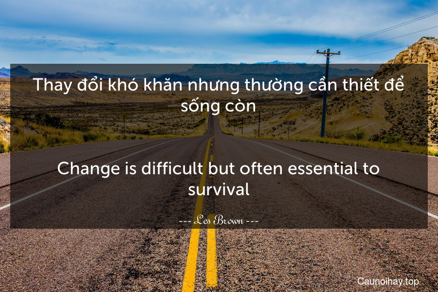 Thay đổi khó khăn nhưng thường cần thiết để sống còn.
-
Change is difficult but often essential to survival.