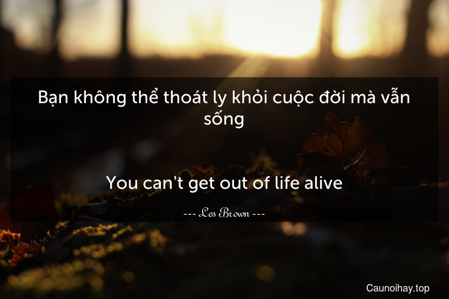 Bạn không thể thoát ly khỏi cuộc đời mà vẫn sống.
-
You can't get out of life alive.