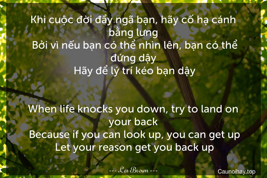 Khi cuộc đời đẩy ngã bạn, hãy cố hạ cánh bằng lưng. Bởi vì nếu bạn có thể nhìn lên, bạn có thể đứng dậy. Hãy để lý trí kéo bạn dậy.
-
When life knocks you down, try to land on your back. Because if you can look up, you can get up. Let your reason get you back up.