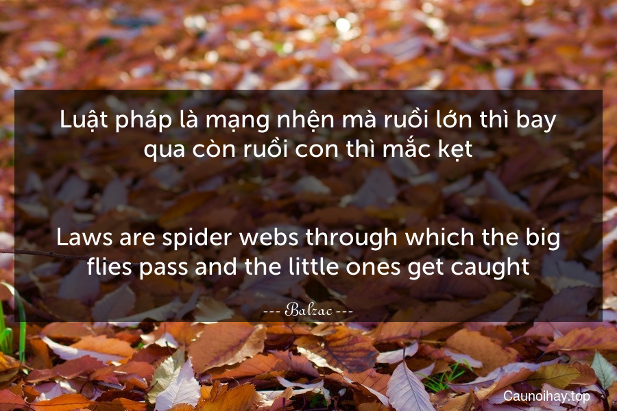 Luật pháp là mạng nhện mà ruồi lớn thì bay qua còn ruồi con thì mắc kẹt.
-
Laws are spider webs through which the big flies pass and the little ones get caught.