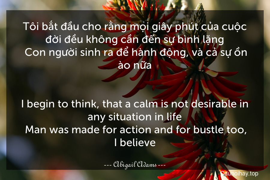 Tôi bắt đầu cho rằng mọi giây phút của cuộc đời đều không cần đến sự bình lặng. Con người sinh ra để hành động, và cả sự ồn ào nữa.
-
I begin to think, that a calm is not desirable in any situation in life. Man was made for action and for bustle too, I believe.