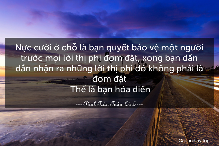 Nực cười ở chỗ là bạn quyết bảo vệ một người trước mọi lời thị phi đơm đặt, xong bạn dần dần nhận ra những lời thị phi đó không phải là đơm đặt. Thế là bạn hóa điên.