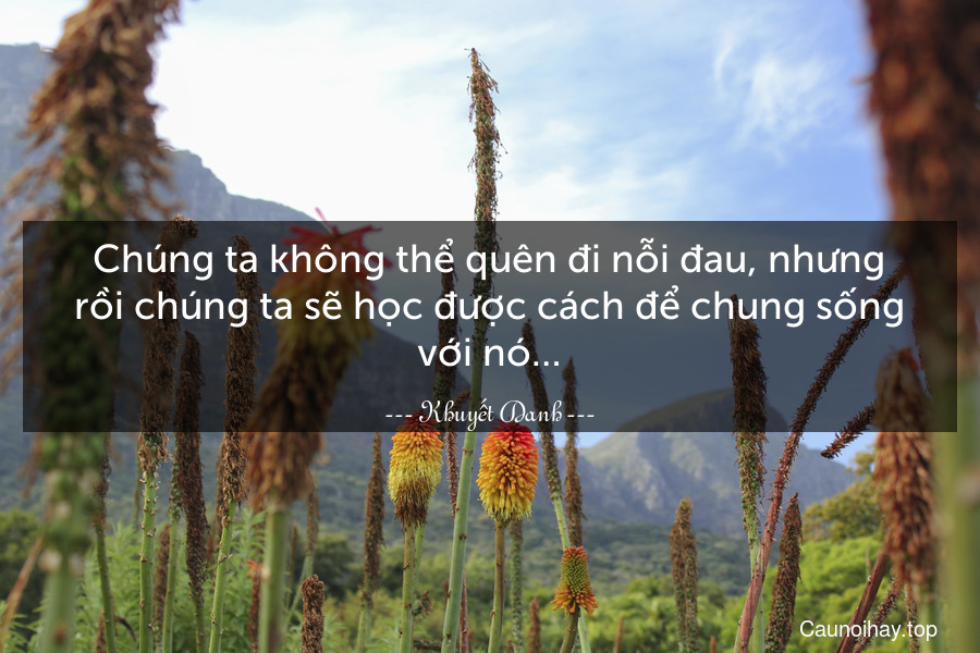 Chúng ta không thể quên đi nỗi đau, nhưng rồi chúng ta sẽ học được cách để chung sống với nó…