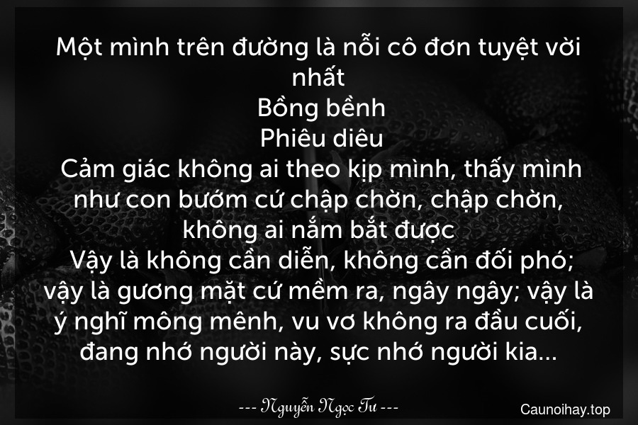 Một mình trên đường là nỗi cô đơn tuyệt vời nhất. Bồng bềnh. Phiêu diêu. Cảm giác không ai theo kịp mình, thấy mình như con bướm cứ chập chờn, chập chờn, không ai nắm bắt được. Vậy là không cần diễn, không cần đối phó; vậy là gương mặt cứ mềm ra, ngây ngây; vậy là ý nghĩ mông mênh, vu vơ không ra đầu cuối, đang nhớ người này, sực nhớ người kia…