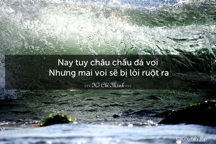 Nay tuy châu chấu đá voi. Nhưng mai voi sẽ bị lòi ruột ra.