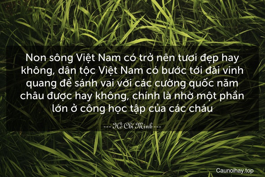 Non sông Việt Nam có trở nên tươi đẹp hay không, dân tộc Việt Nam có bước tới đài vinh quang để sánh vai với các cường quốc năm châu được hay không, chính là nhờ một phần lớn ở công học tập của các cháu.