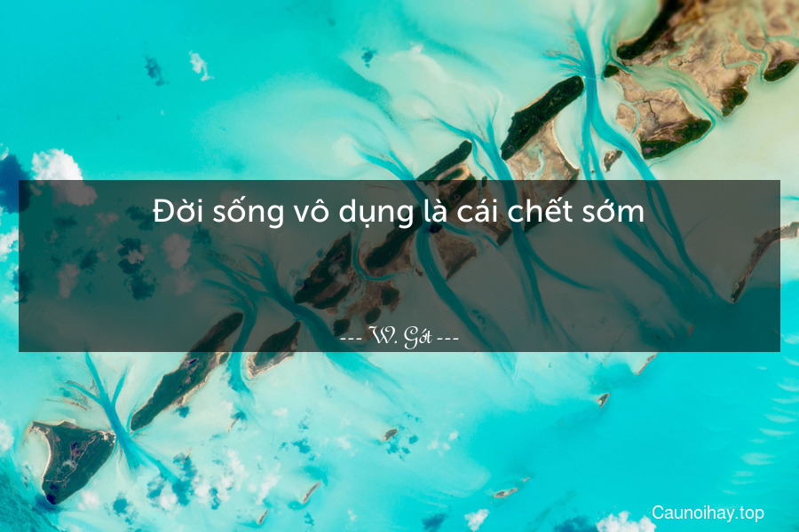 Đời sống vô dụng là cái chết sớm.

 