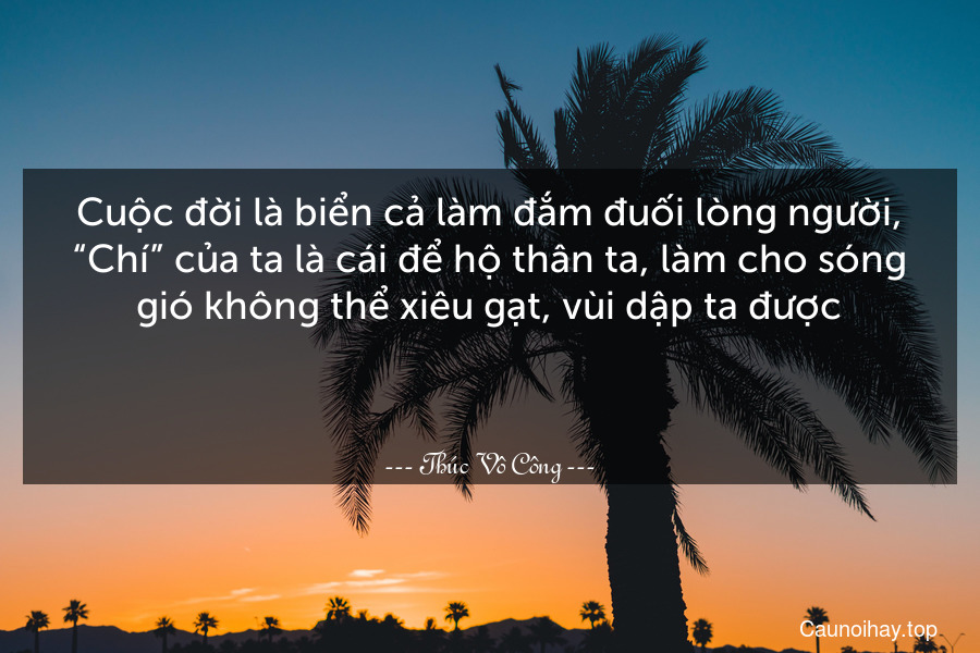 Cuộc đời là biển cả làm đắm đuối lòng người, “Chí” của ta là cái để hộ thân ta, làm cho sóng gió không thể xiêu gạt, vùi dập ta được.

 