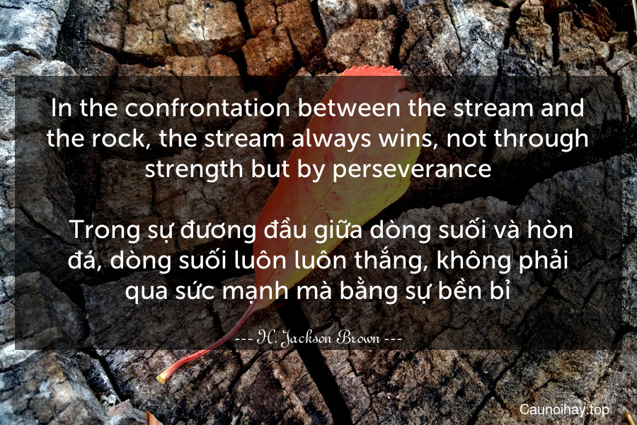 In the confrontation between the stream and the rock, the stream always wins, not through strength but by perseverance.
 Trong sự đương đầu giữa dòng suối và hòn đá, dòng suối luôn luôn thắng, không phải qua sức mạnh mà bằng sự bền bỉ.