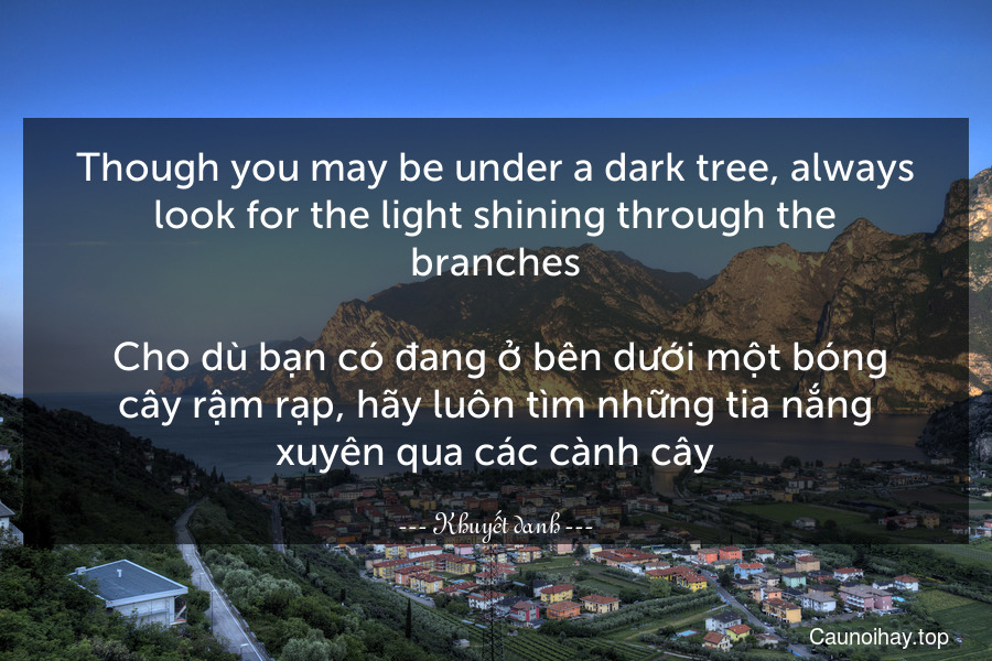 Though you may be under a dark tree, always look for the light shining through the branches.
 Cho dù bạn có đang ở bên dưới một bóng cây rậm rạp, hãy luôn tìm những tia nắng xuyên qua các cành cây.