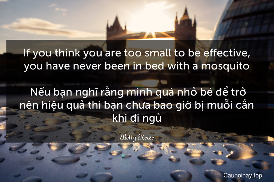 If you think you are too small to be effective, you have never been in bed with a mosquito.
 Nếu bạn nghĩ rằng mình quá nhỏ bé để trở nên hiệu quả thì bạn chưa bao giờ bị muỗi cắn khi đi ngủ.