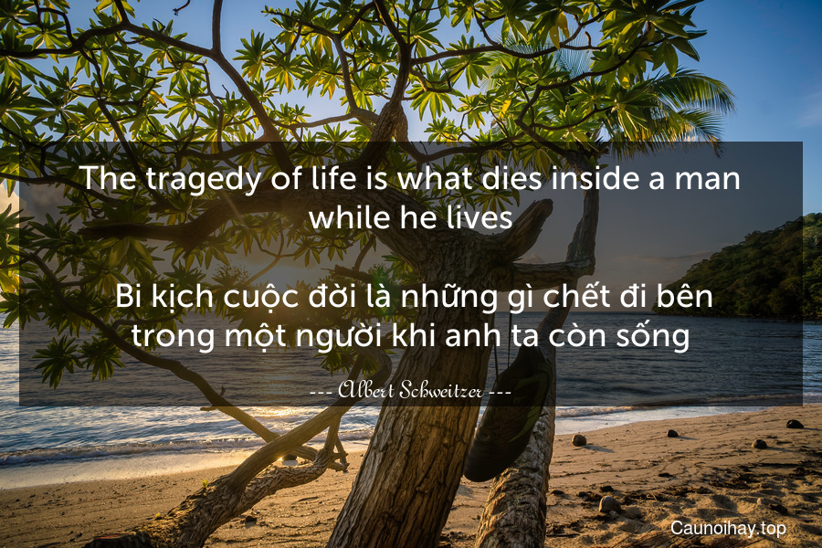 The tragedy of life is what dies inside a man while he lives. 
 Bi kịch cuộc đời là những gì chết đi bên trong một người khi anh ta còn sống.