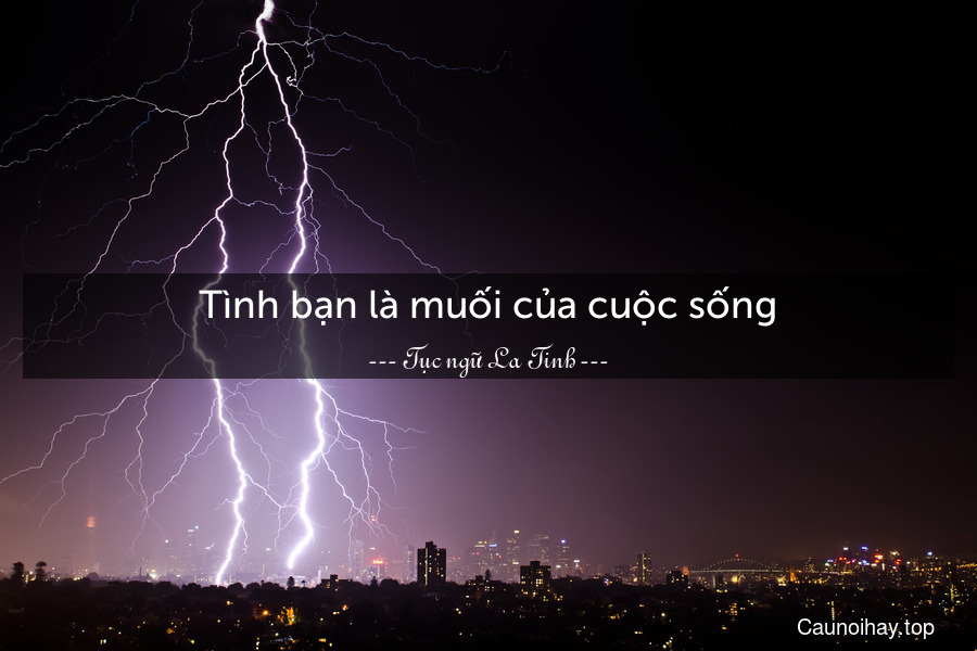 Tình bạn là muối của cuộc sống.