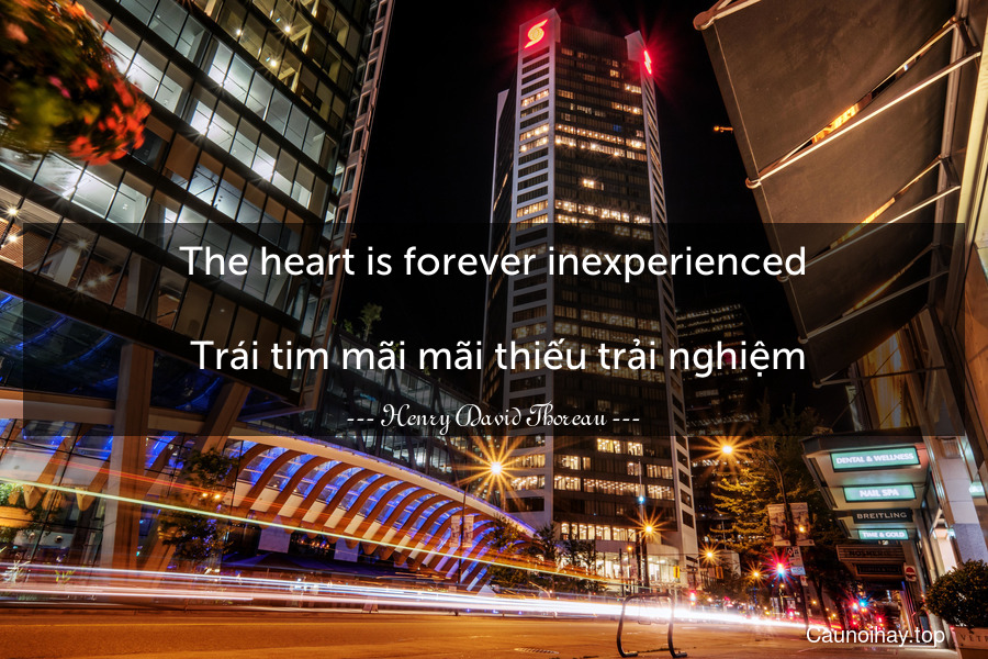 The heart is forever inexperienced.
 Trái tim mãi mãi thiếu trải nghiệm.