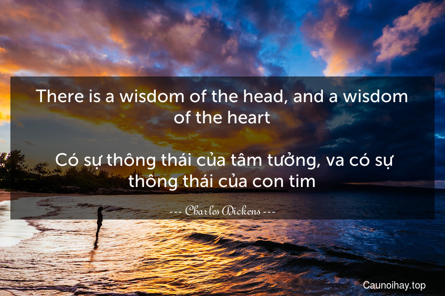 There is a wisdom of the head, and a wisdom of the heart.
 Có sự thông thái của tâm tưởng, va có sự thông thái của con tim.