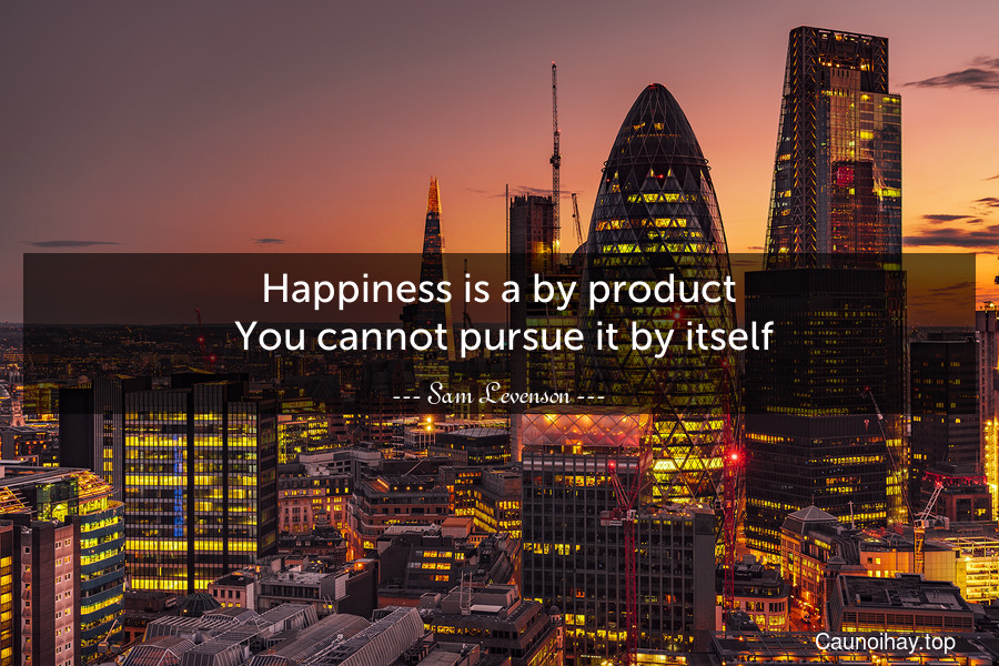 Happiness is a by-product. You cannot pursue it by itself.