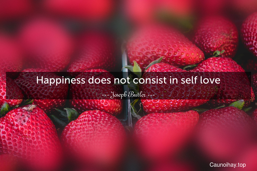 Happiness does not consist in self-love.