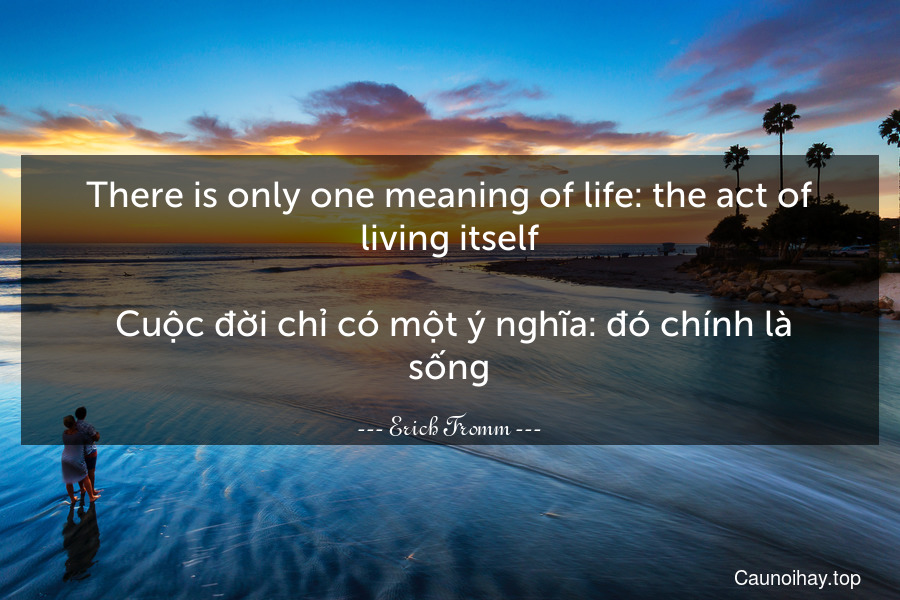 There is only one meaning of life: the act of living itself.
 Cuộc đời chỉ có một ý nghĩa: đó chính là sống.