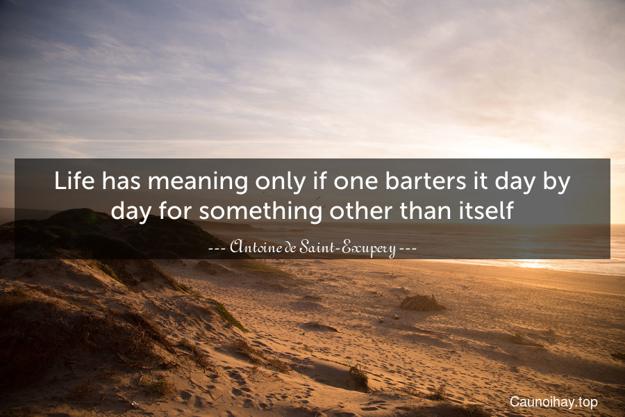 Life has meaning only if one barters it day by day for something other than itself.