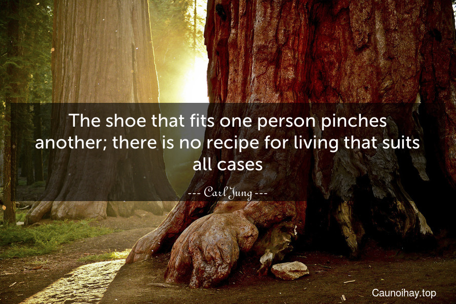 The shoe that fits one person pinches another; there is no recipe for living that suits all cases.