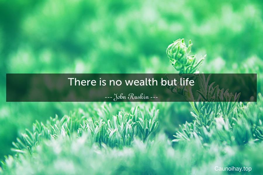 There is no wealth but life.